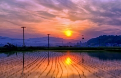 Saulėlydis Fukušimoje / Sunset in Fukushima