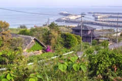 Kraštovaizis nuo netoli Tomioka-Town esančio vynuogyno / Landscape from the Vineyard in To-mioka-Town area