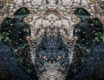 2g