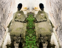 6