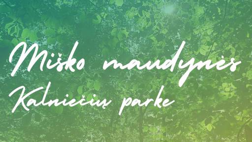 Miško maudynės Kalniečių parke web
