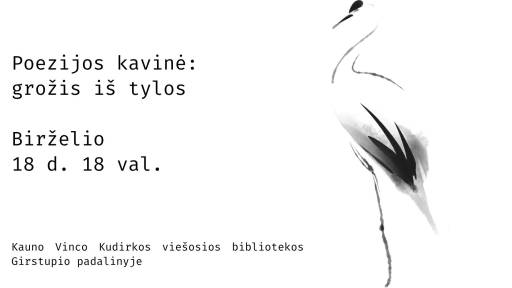 grožis iš tylos