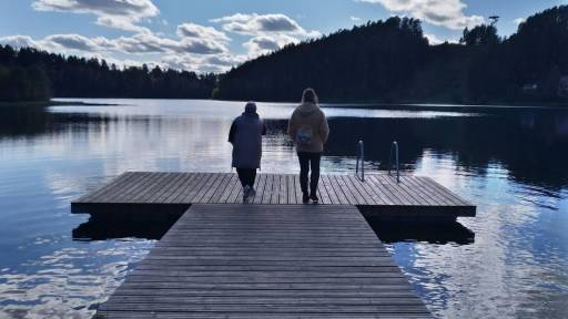 1-REZ-IV-Siekscio-siluetai