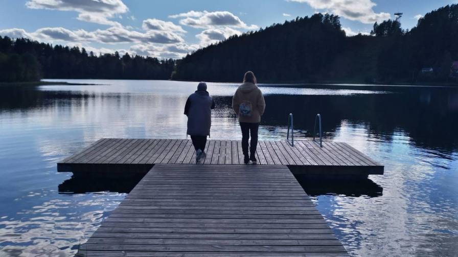 1-REZ-IV-Siekscio-siluetai