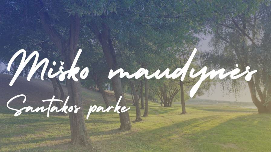 Miško maudynės Santakoje web