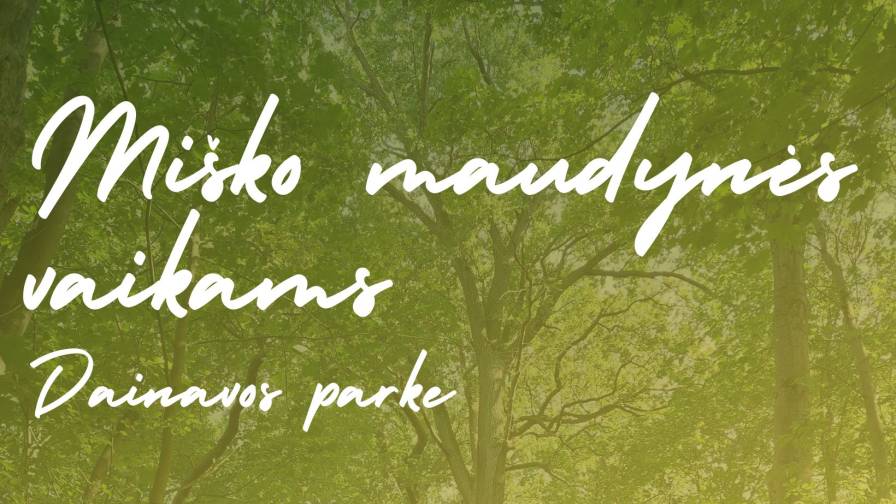 Miško maudynės vaikams web