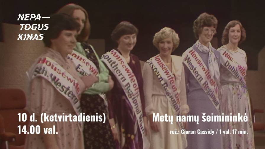 Metų-namų-šeimininkė