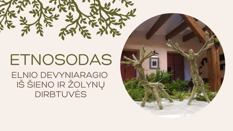 Etnosodas šienas web