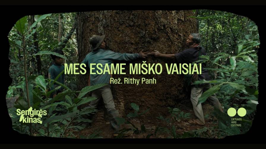 Miško vaisiai web