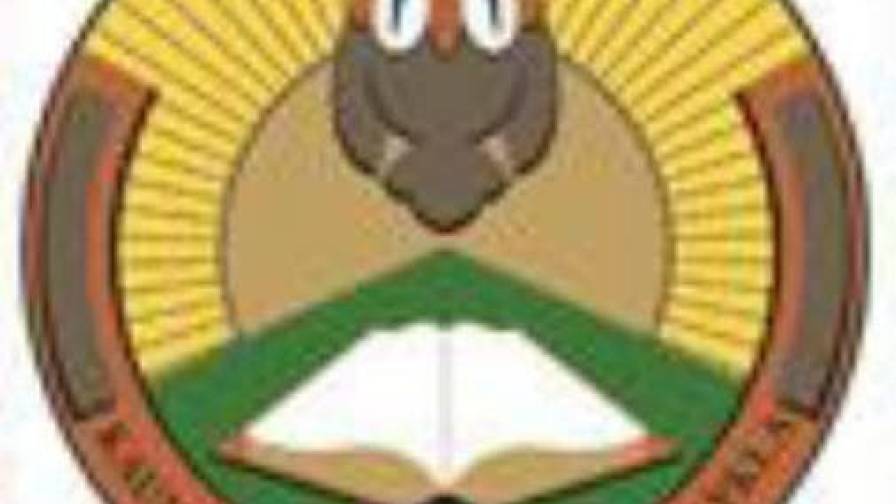 senos iconos