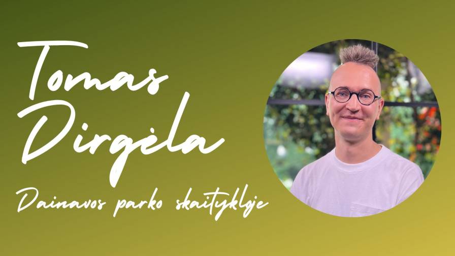 Dirgėla web