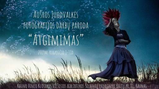 atgimimas juodvalkė