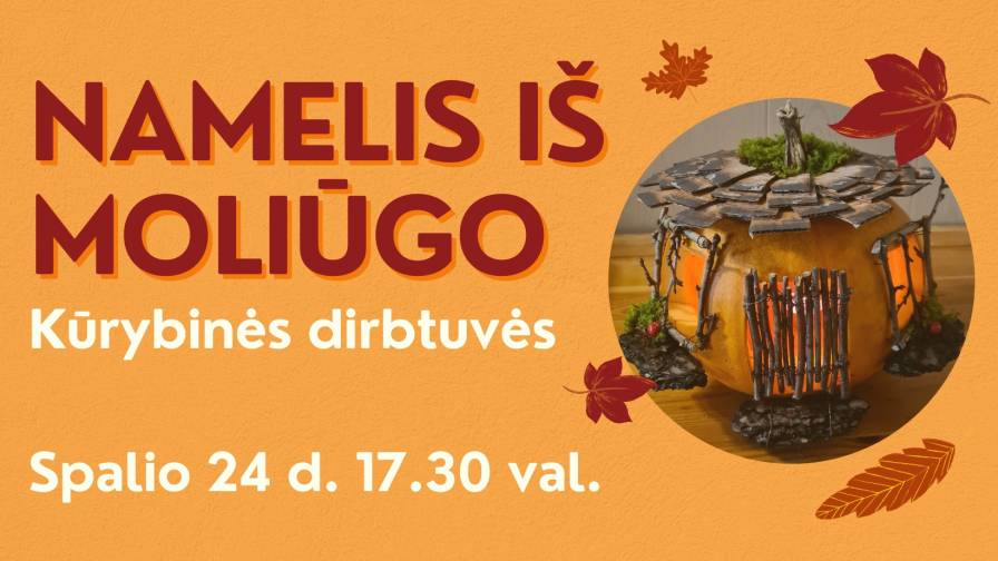 Namelis iš moliūgo web