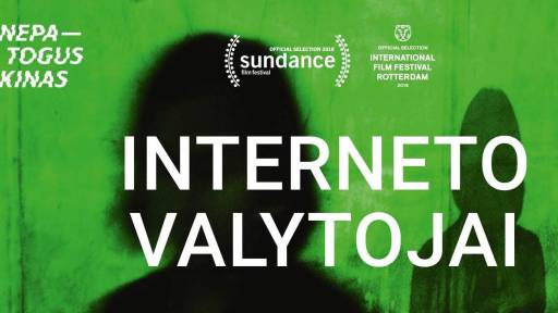 Interneto valytojai