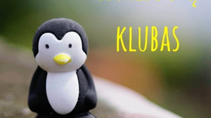 smalsučių klubas_svet