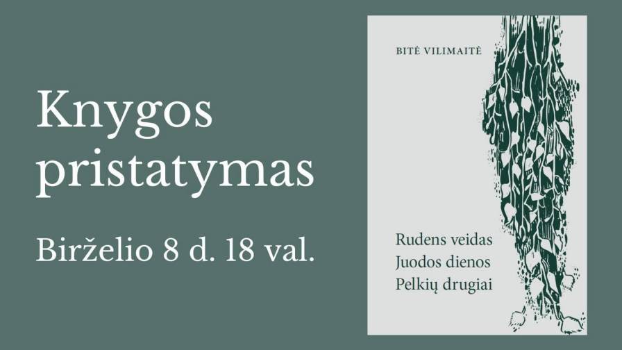 Knygos pristatymas (1)