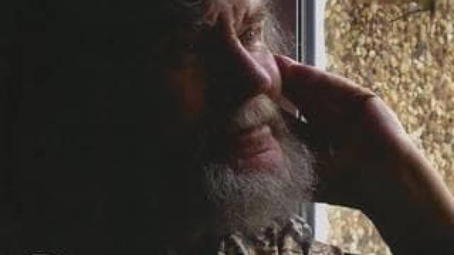 poetas vasaros pievose