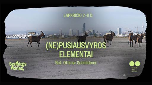 Nepusiausvyros elementai