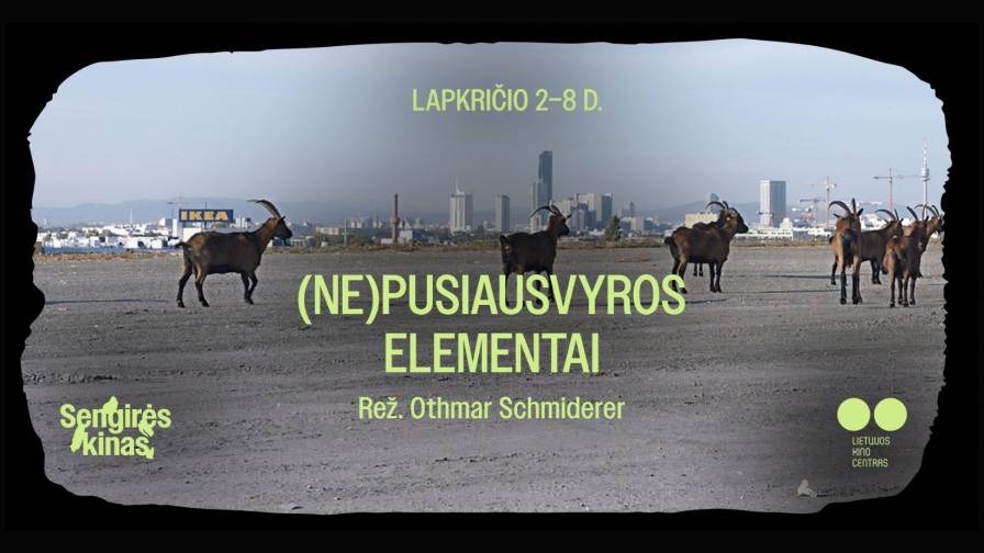 Nepusiausvyros elementai