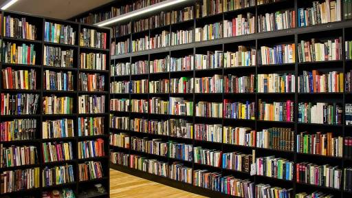 Kudirkos biblioteka 3