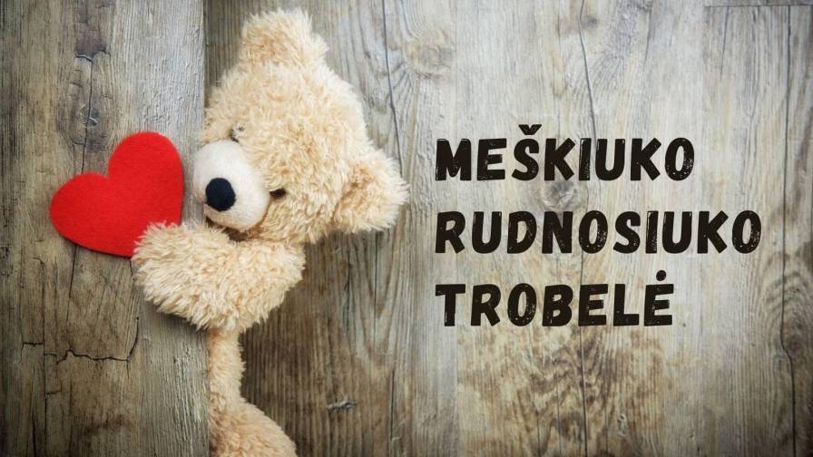 Meškiuko rudnosiuko trobelė