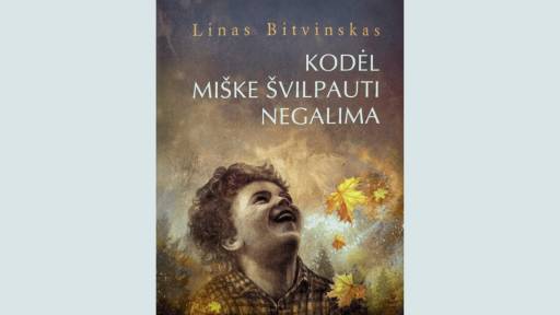 kodel miske svilpauti negalima