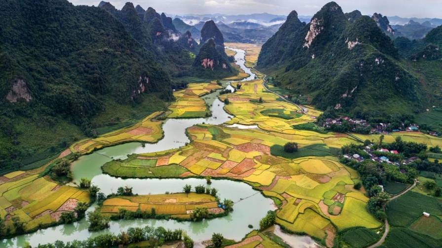 vietnamas